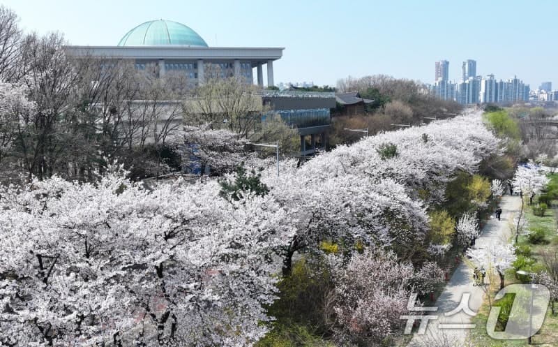 “벚꽃 축제 인파 몰린다”…서울교통공사, 봄꽃축제 대비 인파 안전관리 대책 시행
