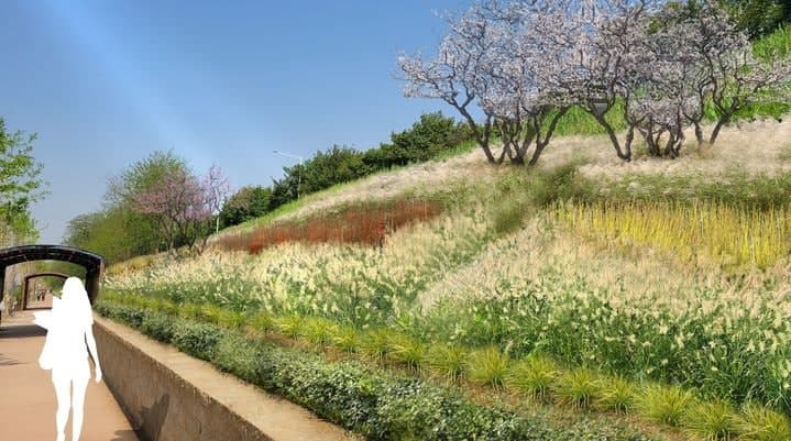 송파구, 5월 말까지 탄천 수변에 3.3㎞ 규모 '매력정원' 조성