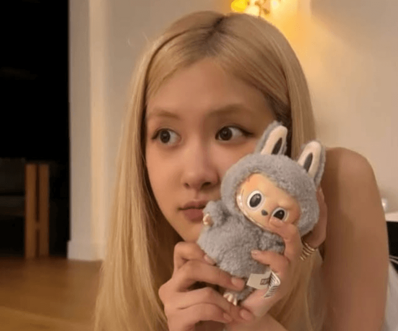 “5일새 30% 폭락, 시총 50조 날아갔다”…‘라부부’ 열풍 식자 팝마트 끝없는 추락