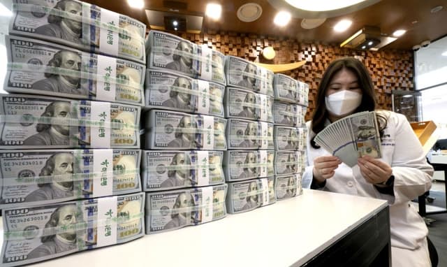 구윤철 "'달러 강제 매각'은 가짜뉴스"…유포자 형사고발 및 경찰 수사 착수