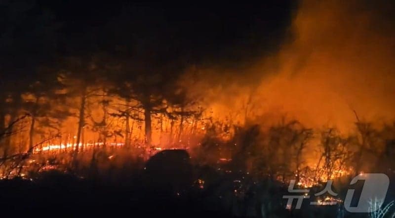 고성군·청양군, '청명·한식' 산불 방지 총력…"산불 위반행위 예외 없다"