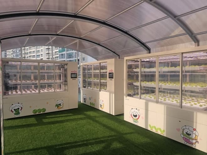 마포구, 공영주차장·주민센터 옥상 등 스마트팜 4개소 준공… 딸기·방울토마토 체험