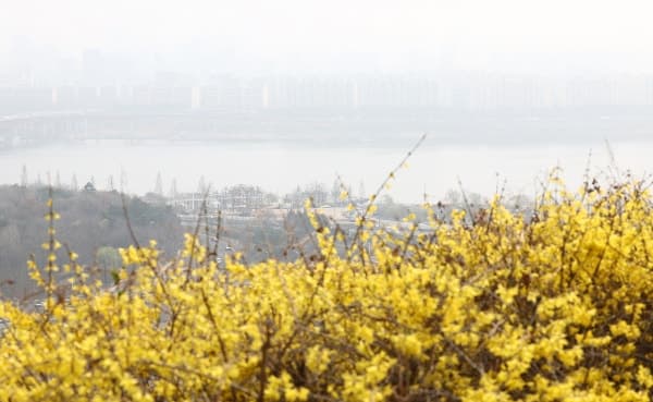 맑고 포근한 봄날, 미세먼지 '나쁨'…큰 일교차 주의