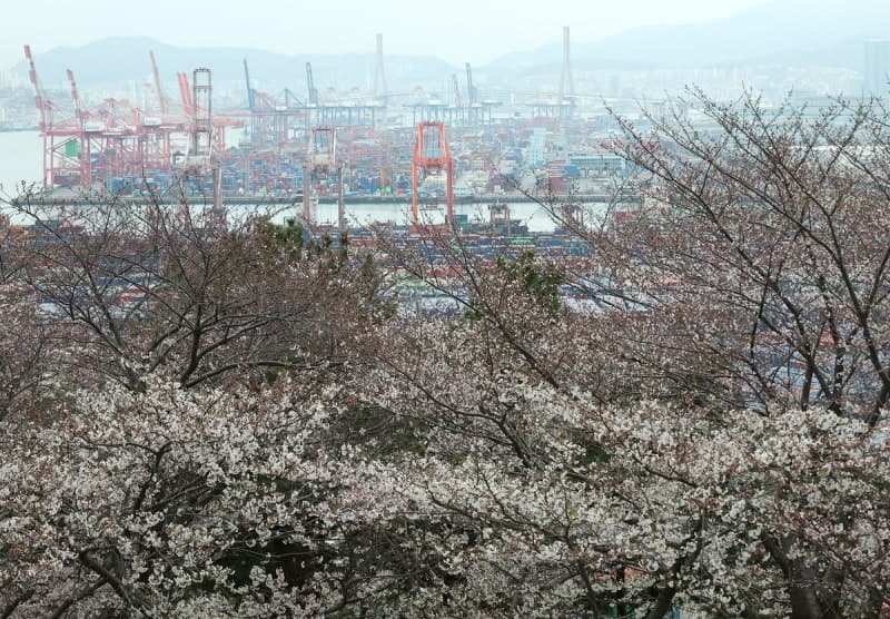 전쟁 뚫고 월 수출 사상 첫 800억 달러 돌파… 반도체 151% 폭증