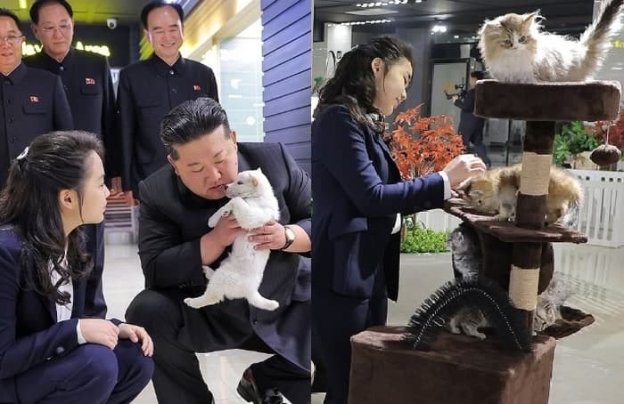 김정은 강아지 안고, 주애 고양이 쓰다듬고…상업시설 시찰