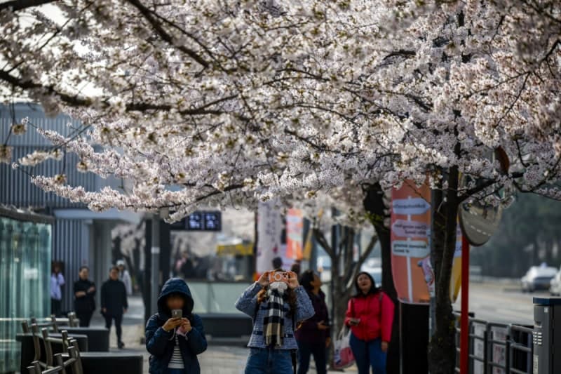 전국 봄비, 강풍 동반…미세먼지 씻겨나가