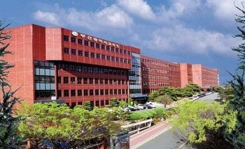 부산 중학교서 다문화가정 학생 집단폭행 당해…경찰 수사