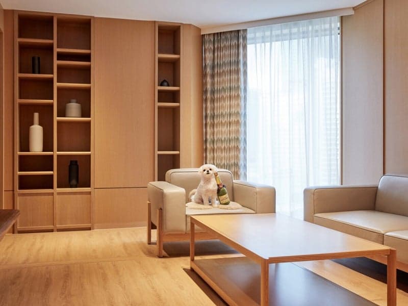 "반려견과 함께 해운대 즐기자" 그랜드 조선 부산, 펫 패키지 혜택 업그레이드