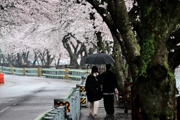 포근하지만 큰 일교차…밤부터 전국에 봄비, 서쪽 미세먼지 주의