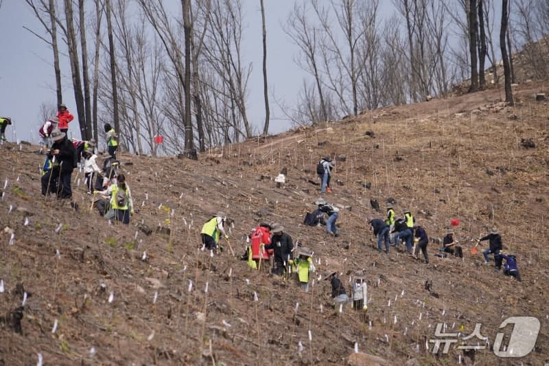 산림청, 안동 산불 피해지서 '제2의 산림녹화 운동' 첫발