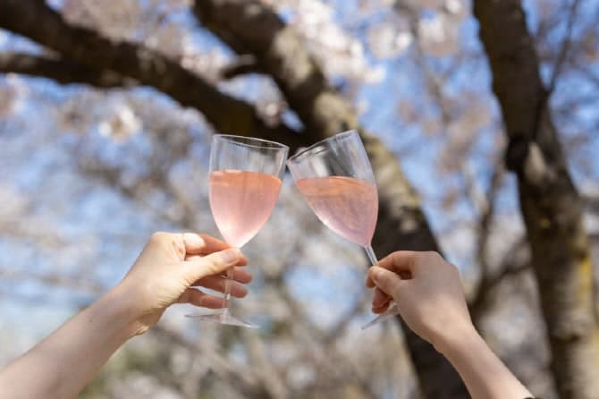 "분홍빛 설렘 가득" 켄싱턴호텔 여의도, '서울 벚꽃 여행' 패키지 출시