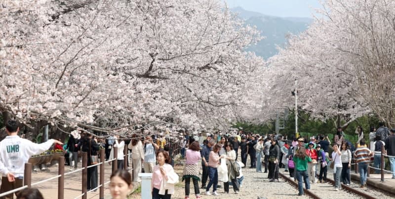 "공대생 메마른 감성 되살리려"…공대 교수가 낸 '낭만 과제', 뭐길래