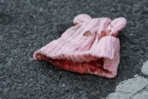 뉴욕 번화가 대낮 오토바이 총격, 유모차 속 7개월 아기 숨져…분노한 뉴욕