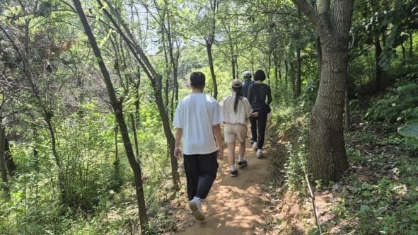 인천시, 연희근린공원서 11월까지 "숲속 힐링" 산림치유 프로그램 무료 운영