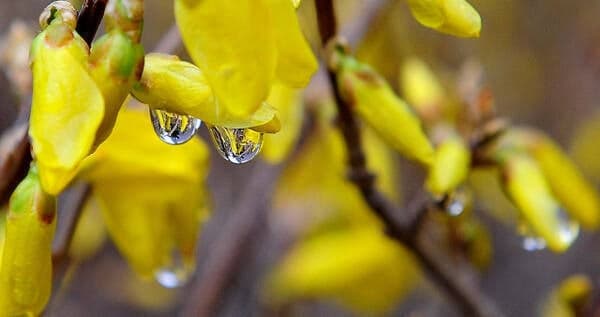 토요일 전국 흐리고 비…남해안·제주 강한 비·강풍