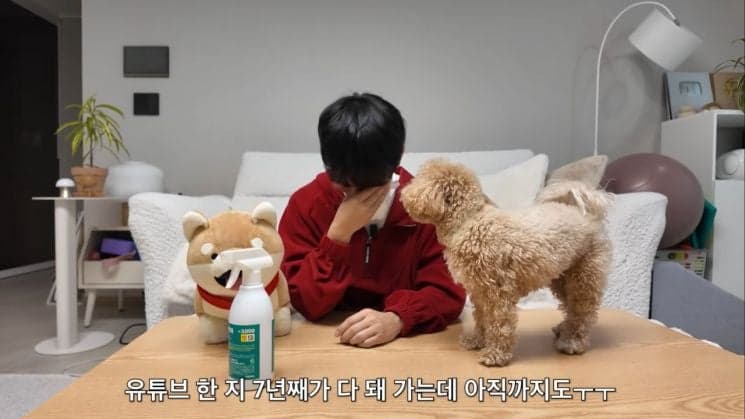 "안 보이는 척 하네"…7년째 악플 시달리는 시각장애 유튜버 원샷한솔 결국 입 열었다