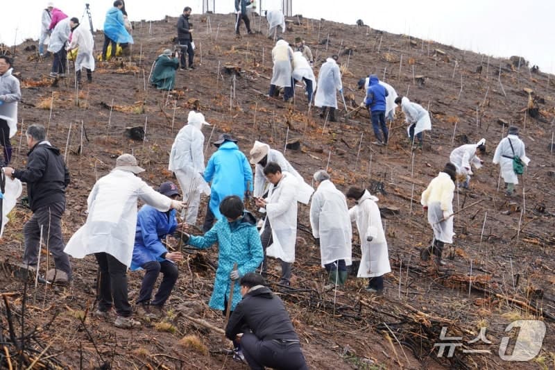 박은식 산림청장, 안동 산불피해지서 "범국민 나무심기 관심" 당부하며 산림복원활동 동참