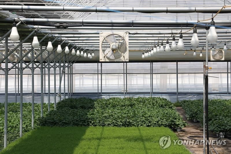 '중동 전쟁 장기화' 시름 깊어지는 화훼농가