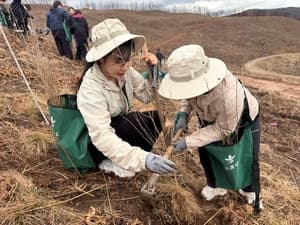 SKT-유한킴벌리, 안동 산불 피해지에 1500그루 식재하며 숲 재건 '맞손'