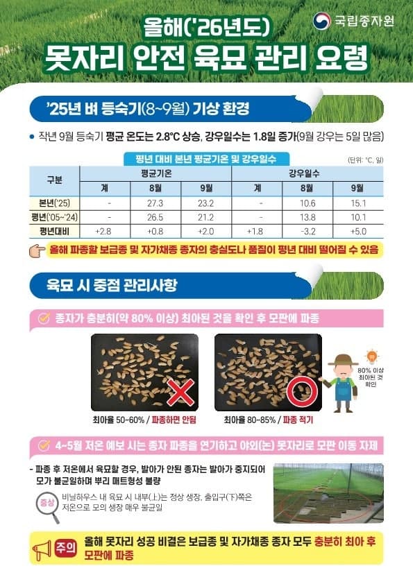 고온 영향에 볍씨 발아 늦어져…"충분히 싹 틔운 뒤 파종해야"