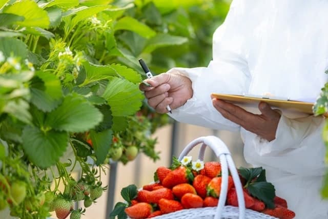 농업인 세금·고용보험 다 담았다…"농산물 판매 비과세 10억 놓치지 마세요"