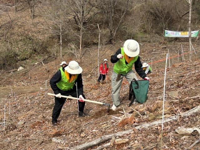 풀무원, 식목일 기념 충주서 쉬나무 4200그루 심어