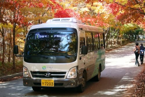 인제군, '버스 무료 이용 지원 조례' 제정 추진… "교통복지 시대 연다"