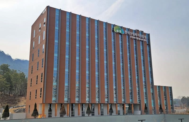 중동발 위기, 화석연료 대신 목재가 해법…산림청 "목재가 지속가능한 대안"