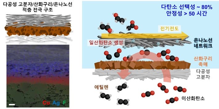 “이산화탄소로 플라스틱 원료 만든다”…KAIST, ‘물은 막고 전기는 통한다’ 전극 새 해법 제시