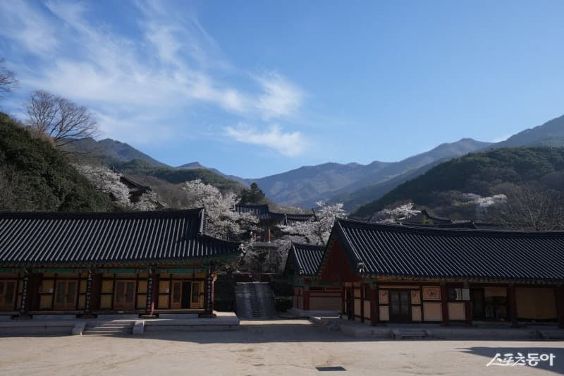 지리산 화엄사 템플스테이, 5개월 리모델링 마치고 '공간의 재탄생'