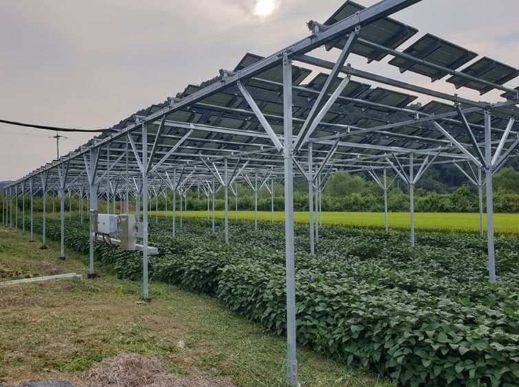 파주시, 전국 최초 '영농형 태양광 지원 조례' 제정으로 농가 소득 증대 기대