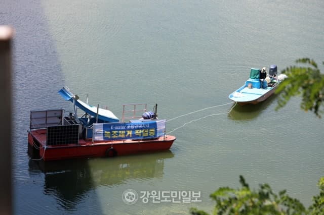 기후부, 소양강댐 상류 '인제대교~양구대교' 구간 녹조대책 마련