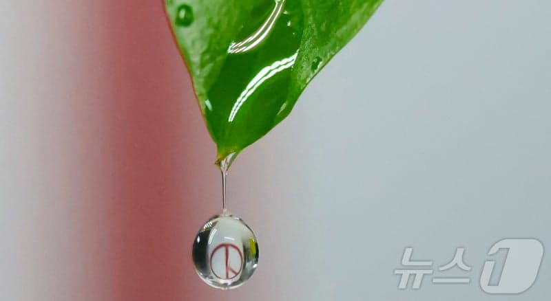 민주당 충북 기초단체장 경선 돌입…빠르면 8일 후보 선출