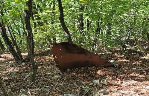 “70여년 만의 귀향을 빕니다”… 제주, 6·25 전사자 유가족 DNA 403건 확보