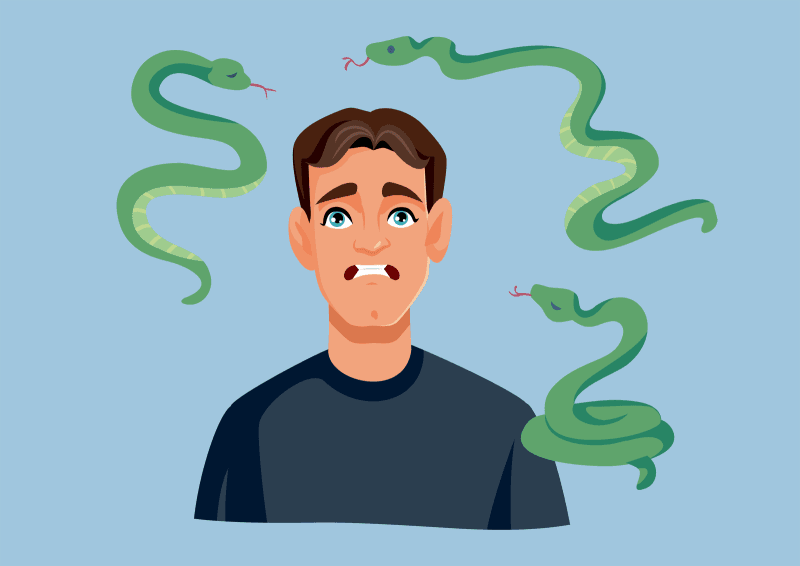 "흉몽인 줄 알았는데" 뱀에 목 물리는 꿈 꾸고 복권 1등 5억 당첨