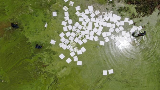 소양강댐 상류 녹조, 여름 전 전면전…오염원 관리·현장 차단 병행