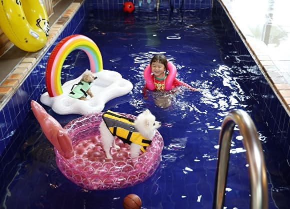 “최대 3만원 혜택”…태안군, 반려동물 동반 숙박 할인 기획전