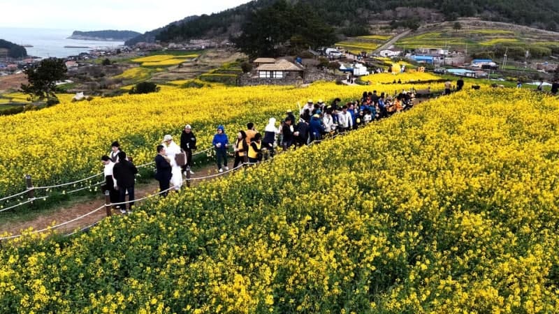 완도 청산도 슬로걷기 축제 개막…'치유의 섬'으로 오세요!