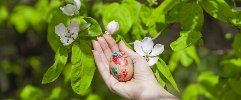 독일 부활절 달걀 찾기 행사 중 강풍에 쓰러진 나무에 10개월 아기 등 3명 사망