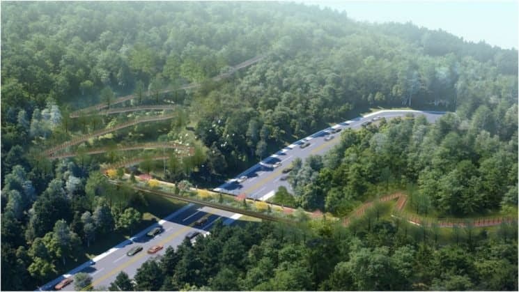 서울 중구, 남산자락숲길-둘레길 잇는 '장충단로 녹지연결로' 내년 착공