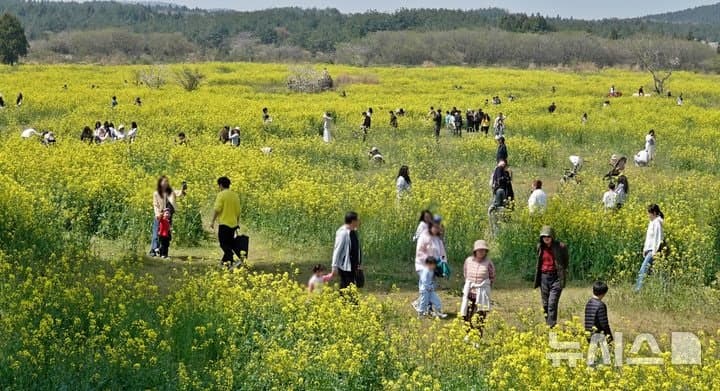 오전 전국에 '황사 비'…천둥번개 동반, 미세먼지 '나쁨'