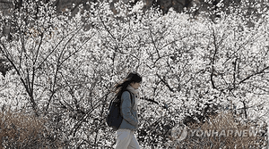 화요일 아침 기온 최대 10도 '뚝'…전국 맑지만 '쌀쌀' 큰 일교차 주의