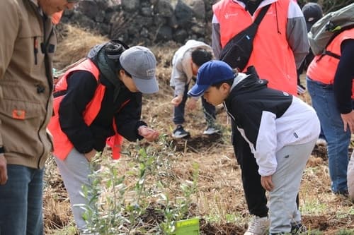 한국관광공사, 제주 비양도 '올리브섬'으로 변신…지속가능 해양관광 구축