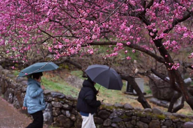 전국에 봄비, 출근길 빗길 운전 주의…오후 미세먼지 '나쁨'