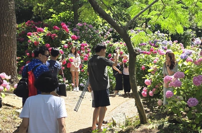 "머무르는 관광지로" 부산시설공단, 태종대 운영 혁신…힐링·문화 콘텐츠 확대
