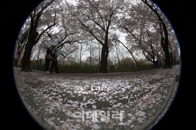 “꽃샘추위 몰려온다”…아침 기온 '뚝' 영하권 '쌀쌀', 미세먼지 '나쁨'