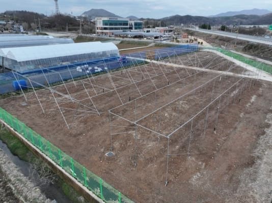 임실군, '미래형 과수 실증시험포' 가동…복숭아·사과 경쟁력 강화