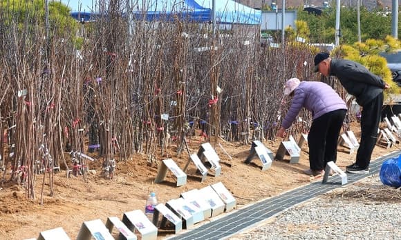 수요일 아침 내륙 0도 안팎 '쌀쌀'…목요일 전국 많은 비
