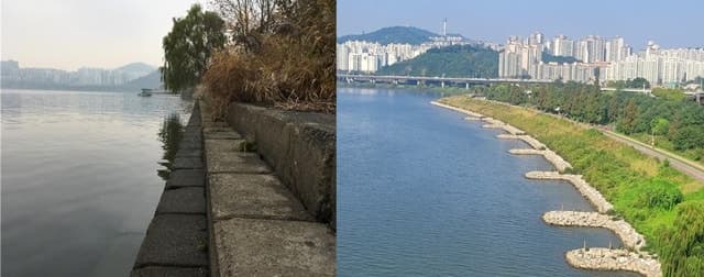 한강 '자연형 호안' 90% 복원…서울시, 2028년까지 전 구간 완료