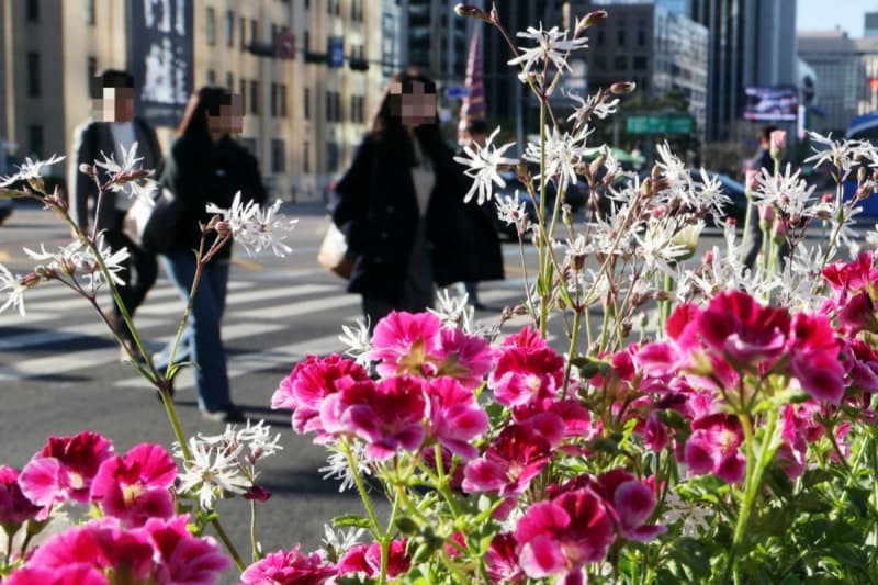 아침 최저 영하 2도 '쌀쌀'…낮 최고 19도, 큰 일교차 유의
